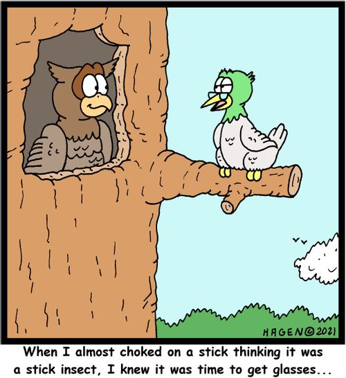 "When I almost choked on a stick thinking it was a stick insect, I knew it was time to get glasses..."
