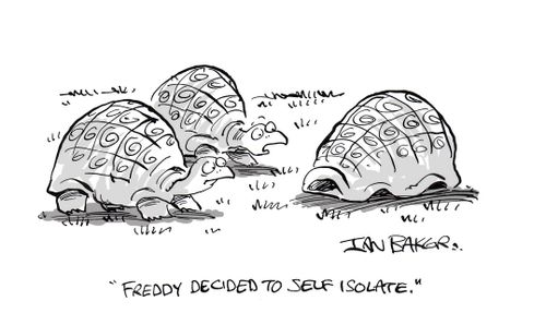 "Freddy decided to self isolate."