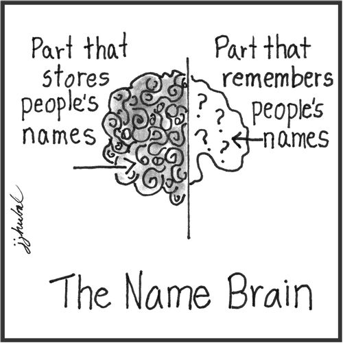 The Name Brain