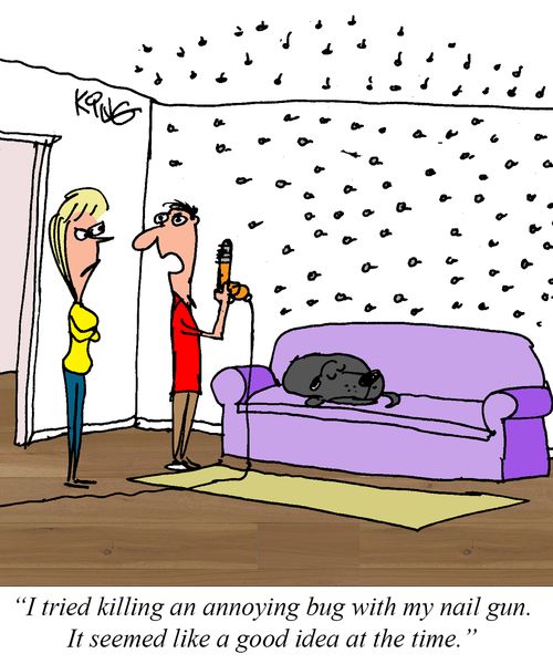 "I tried killing an annoying bug with my nail gun. It seemed like a good idea at the time."