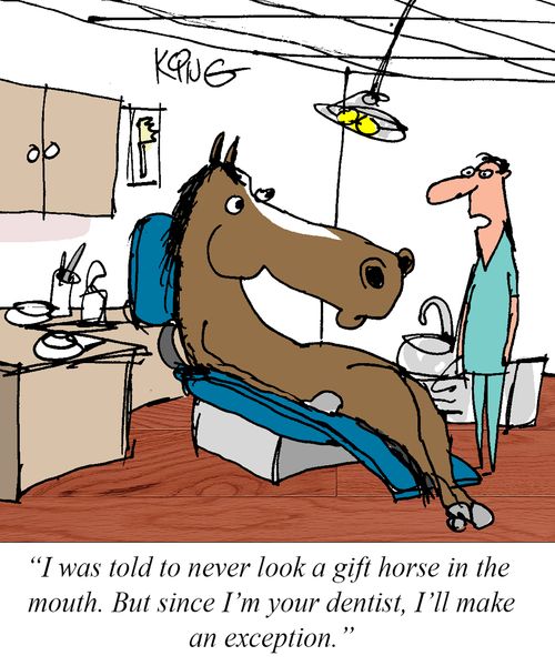 "I was told to never look a gift horse in the mouth. But since I'm your dentist, I'll make an exception."