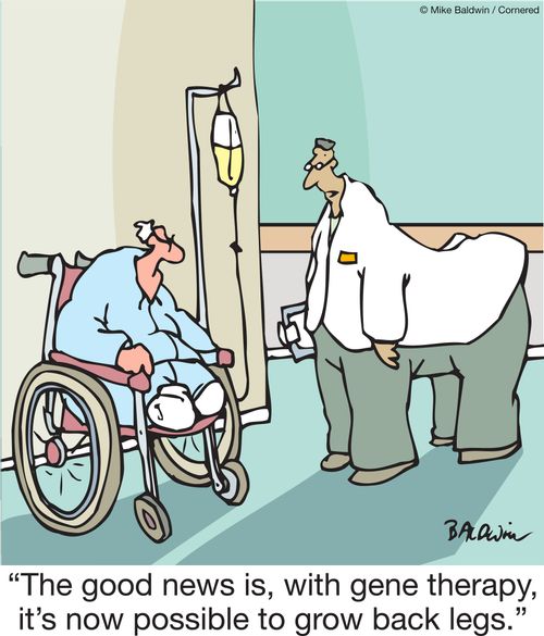 "The good news is, with gene therapy, it's now possible to grow back legs."
