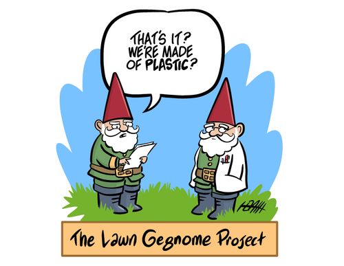 The Lawn Gegnome Project