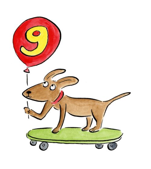 Dog on a skateboard holding a balloon with the number 9