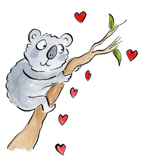 Koala Love