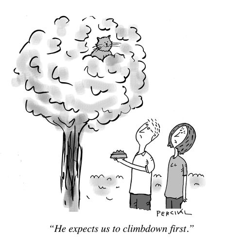 "He expects us to climbdown first."