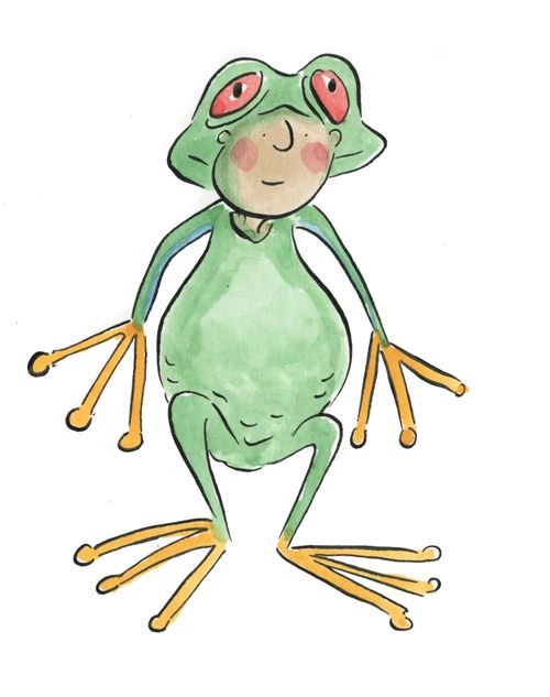Tree frog