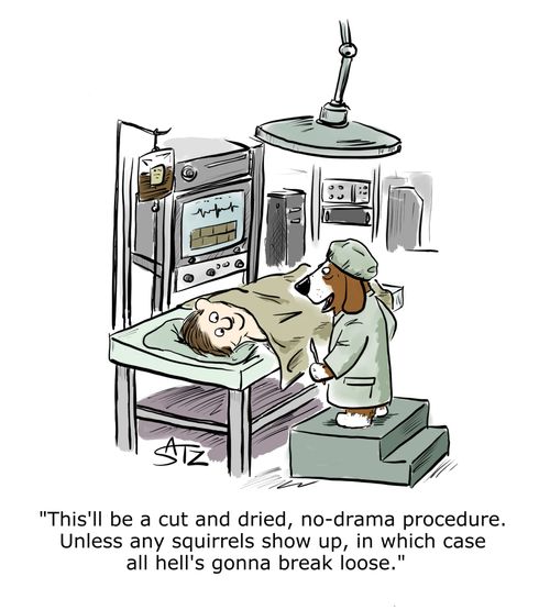"This'll be a cut and dried, no-drama procedure. Unless any squirrels show up, in which case all hell's gonna break loose."