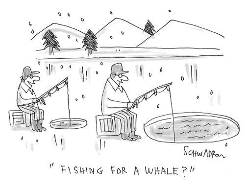 "Fishing for a whale?"