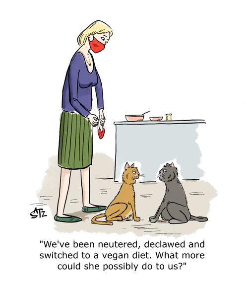 "We've been neutered, declawed and switched to a vegan diet. What more could she possibly do to us?"