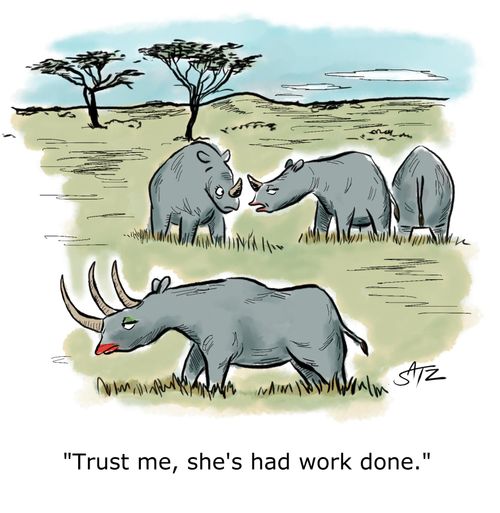 "Trust me, she's had work done."