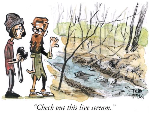 "Check out this live stream."