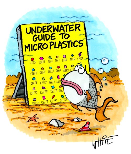 Underwater guide to microplastics
