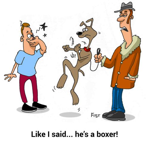 "Like I said... he's a boxer."