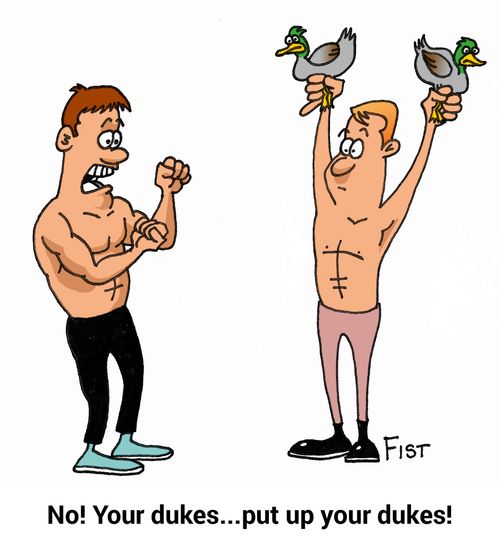 "No! Your dukes...Put up your dukes!"