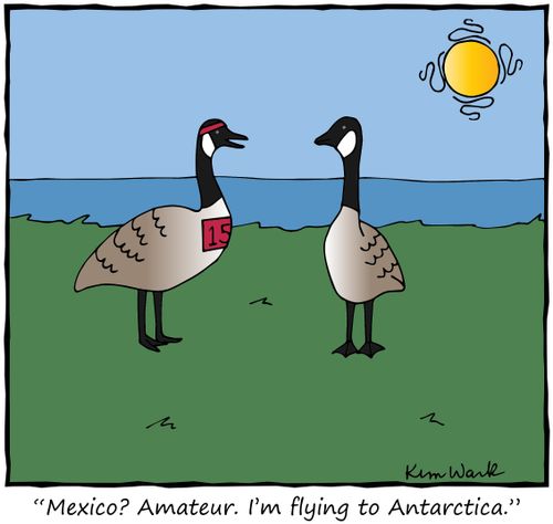 "Mexico? Amateur. I'm flying to Antarctica."