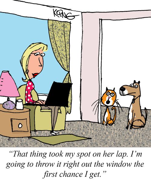 "That thing took my spot on her lap. I'm going to throw it right out the window the first chance I get."