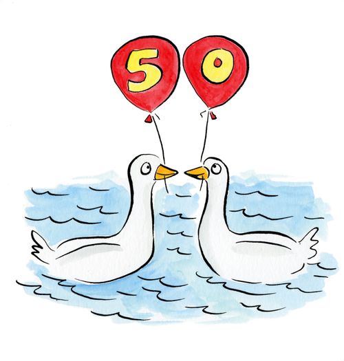 Swans holding 50 balloons.