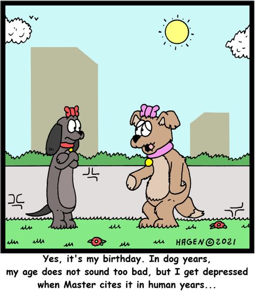 "Yes, it's my birthday. In dog years, my age does not sound too bad, but I get depressed when Master cites it in human years..."