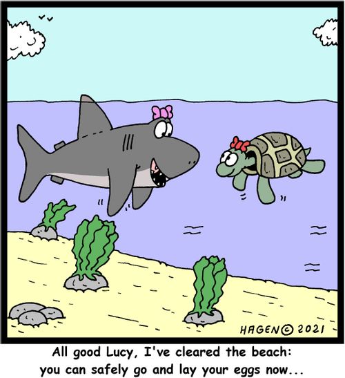 "All good Lucy, I've cleared the beach: you can safely go and lay your eggs now..."