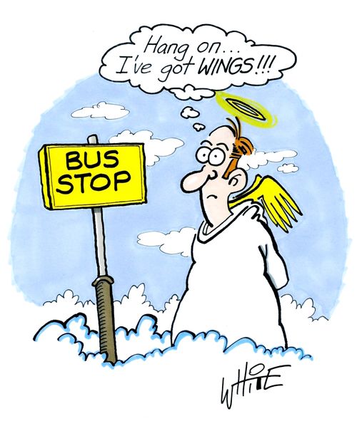 Hang on...I've got WINGS..!!!