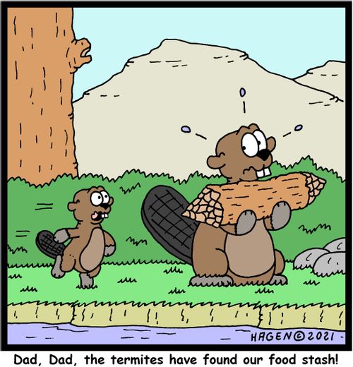 "Dad, Dad, the termites have found our food stash!"