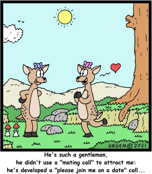 "He's such a gentleman, he didn't use a 'mating call' to attract me: he's developed a 'please join me on a date' call..."