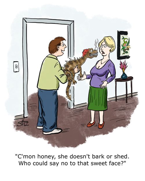 "C'mon honey, she doesn't bark or shed. Who could say no to that sweet face?"