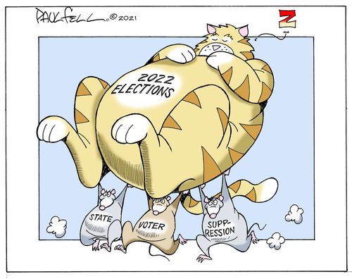 2022 elections