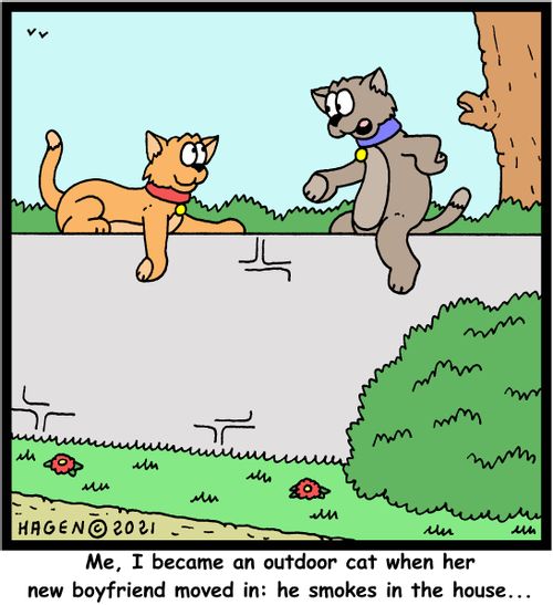 "Me, I became an outdoor cat when her new boyfriend moved in: he smokes in the house..."