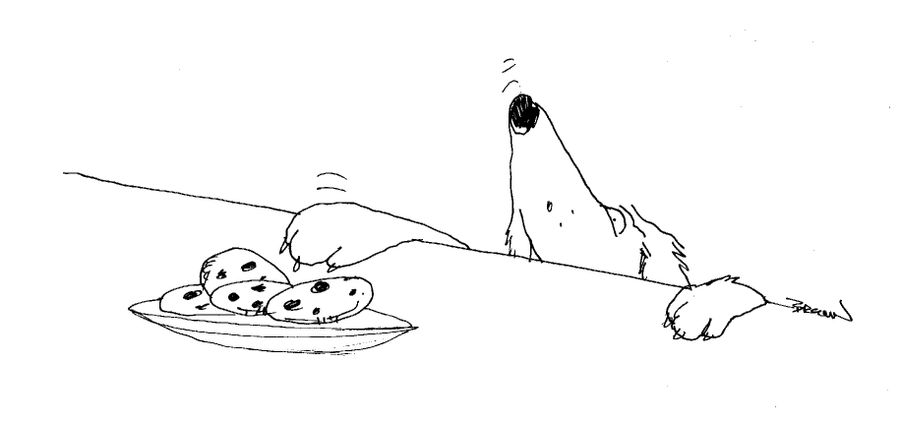 Dog reaching over top of counter to steal cookies.
