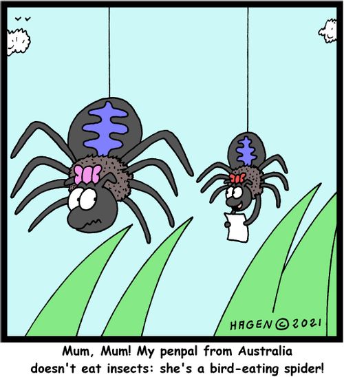 "Mum, Mum! My penpal from Australia doesn't eat insects: she's a bird-eating spider!"
