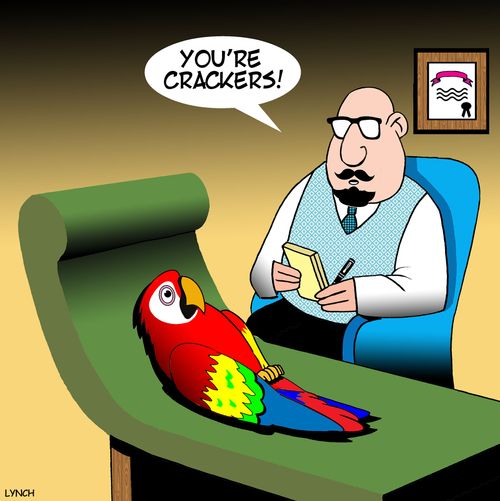 "You're crackers!"