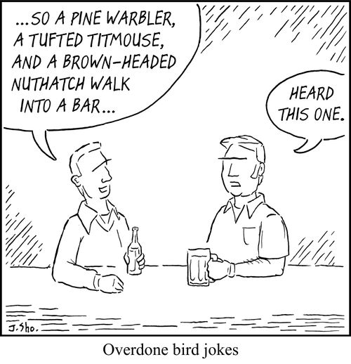 Overdone bird jokes