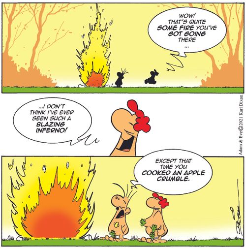 "I don't think I've ever seen such a blazing inferno! Except the time you cooked an apple crumble."