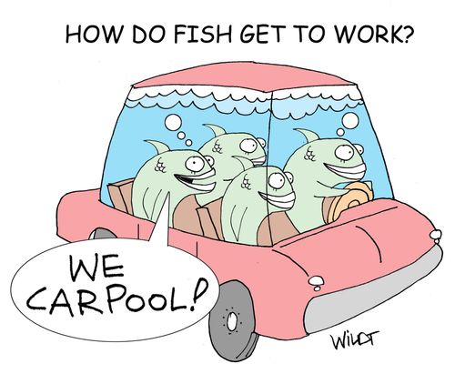 How do fish get to work?
