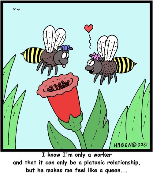 "I know I'm only a worker and that it can only be a platonic relationship, but he makes me feel like a queen..."