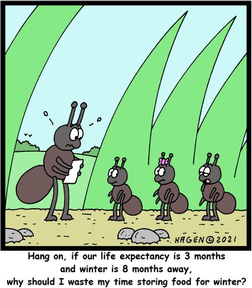 "Hang on, if our life expectancy is 3 months and winter is 8 months away, why should I waste my time storing food for winter?"
