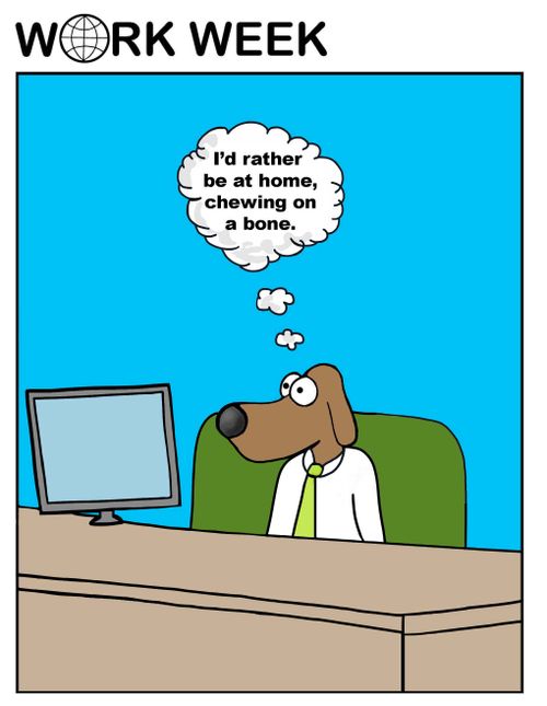 I'd rather be at home chewing on a bone