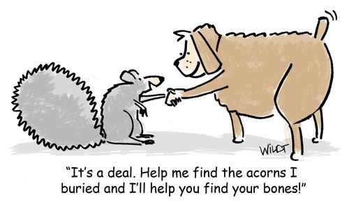 "It's a deal. Help me find the acorns I buried and I'll help you find your bones."
