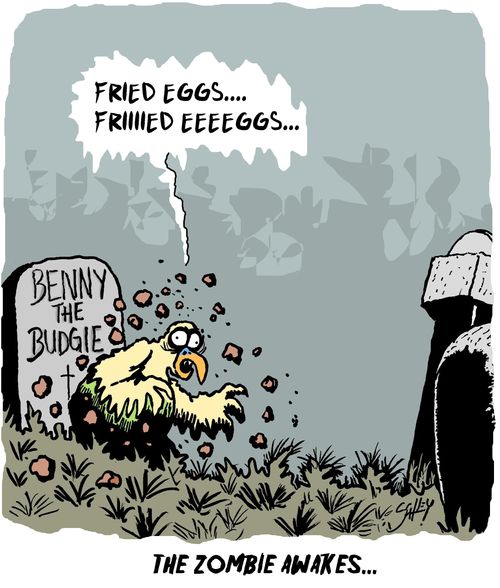 The Zombie Awakes...