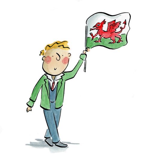 Welsh Flag