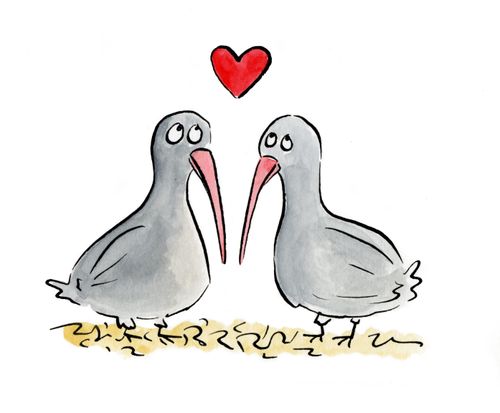 Kiwis
