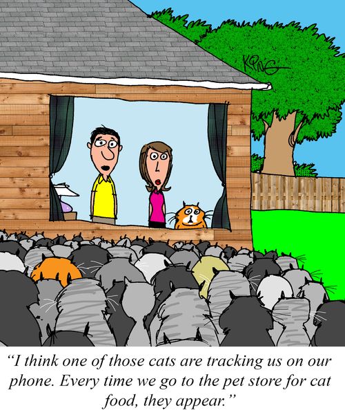 "I think one of those cats are tracking us on our phone. Every time we go to the pet store for cat food, they appear."