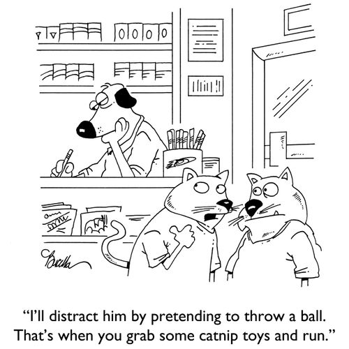 "I'll distract him by pretending to throw a ball. That's when you grab some catnip toys and run."