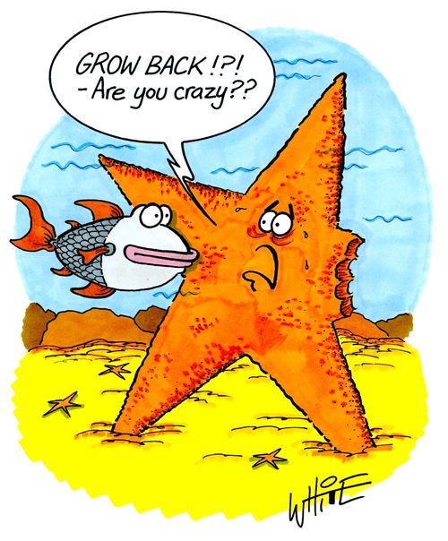 "GROW BACK!?! - Are you crazy??"