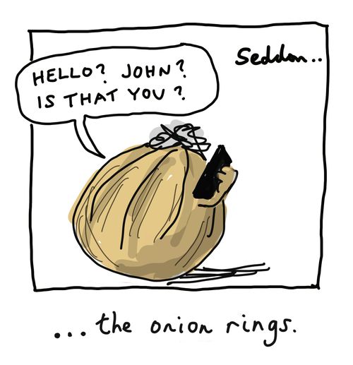 ...the onion rings
