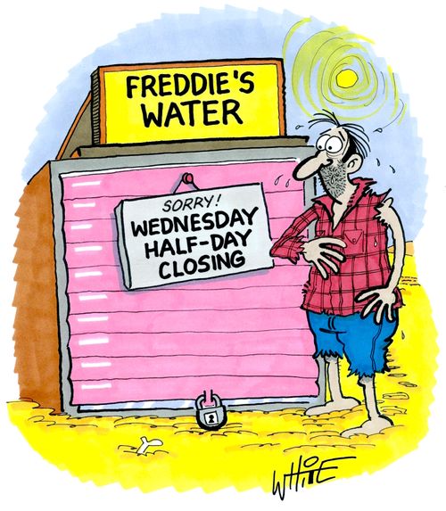 Freddie's water