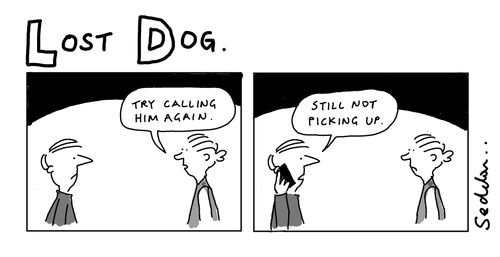 Lost Dog
