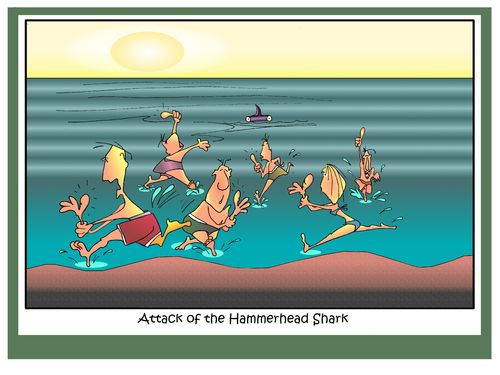 Attack of the Hammerhead Shark